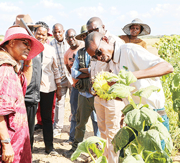 Kalimbeza Rice project  gets N$8m injection