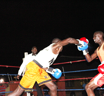 AC boxers back in the ring Saturday