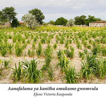 Aanafaalama ya shololithwa koluteni