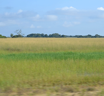 Zambezi’s land paradox