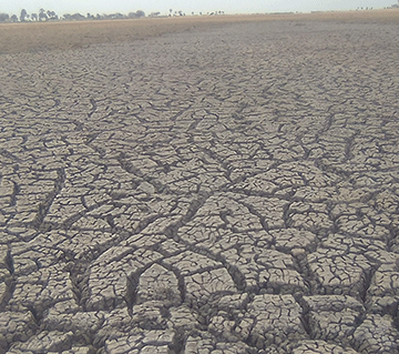 Namibia committed   to tackling land   degradation 