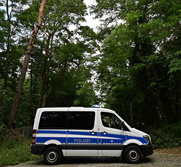 Lioness reported on the loose around Berlin