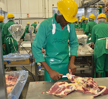 LPO advocates for contract slaughtering