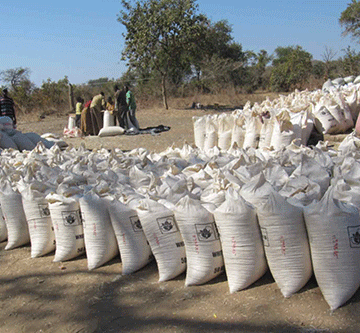 Maize smuggling in Zambezi declines 