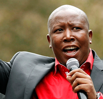 Malema calls for unemployed graduate stipends