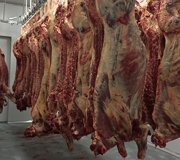 Meatco needs N$80m for Rundu abattoir