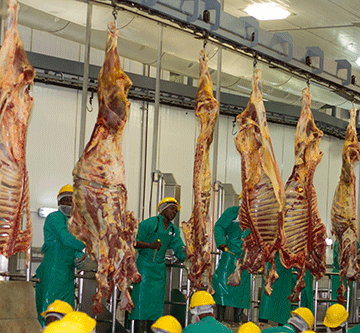 Farmers alarmed by Meatco sabotage talk…northern producers bemoan reputational damage