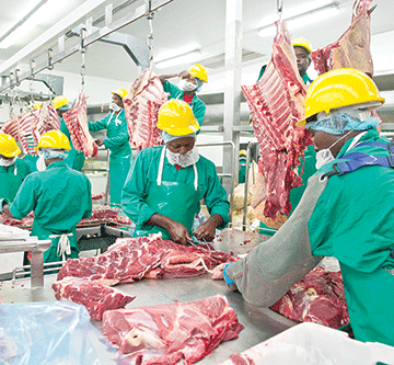 Meatco’s beef with the north… as NCAs get N$32m out of N$600m … debt nears N$1b