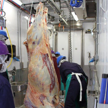 Meatco pushes for NCA market 