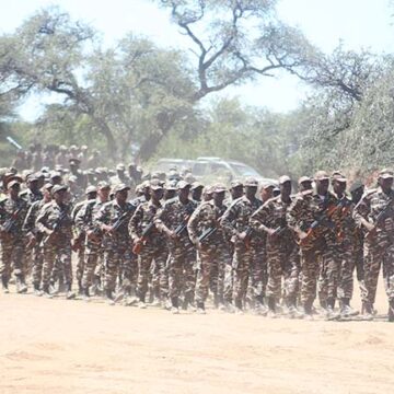 Botswana, Namibia to conduct joint peace support operation training