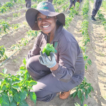 muranda 1 Muranda breathes fresh air into diversified farming