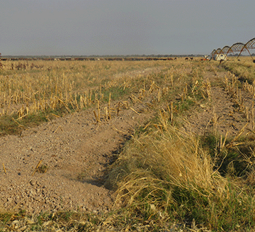 Musese Green Scheme prioritises soil preservation