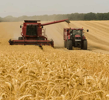 Agriculture – Agronomic board: Ensuring food security and quality