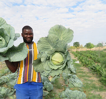 Scribe turns farming pages…Nandjato finds new home in Far-Far Away Farming