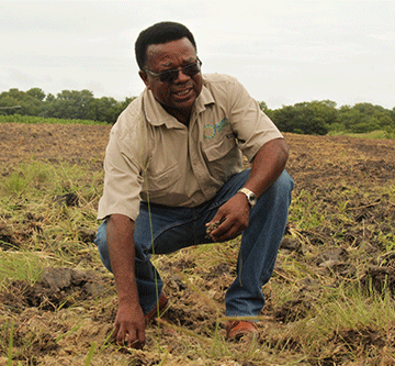 On the spot – Strategy is key but governance is crucial