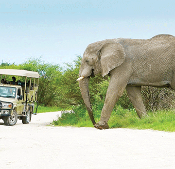 Local travellers disappoint NWR … as only 10% Namibians frequent resorts