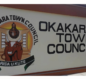 okakarara audit 1 AG tears into shambolic Okakarara books