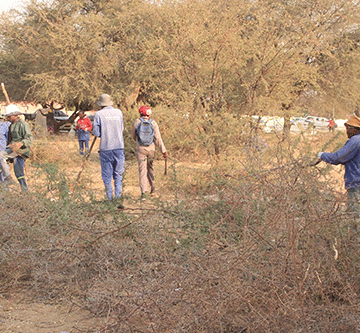 Ongwediva urges residents to preserve trees