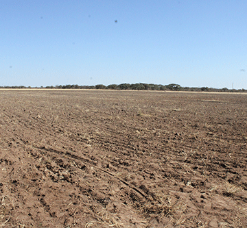 Govt farm gets cash injection… N$2.3m pledged to boost productivity