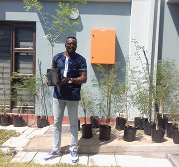 Oniipa Town Council to plant trees