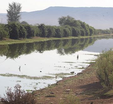 Opuwo needs N$147m for water