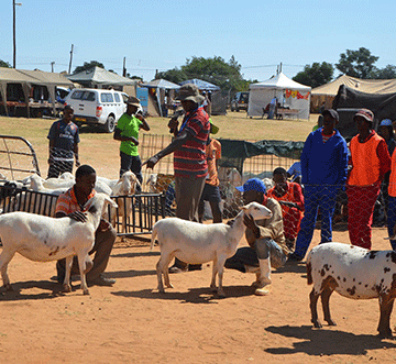 Otjinene unveils Covid victims memorial