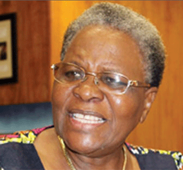 Nandi-Ndaitwah calls on SADC to fight malaria