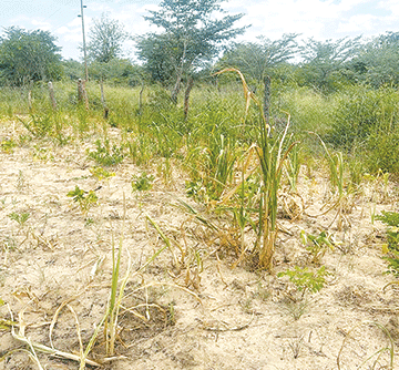 Police fear drought could fuel poaching