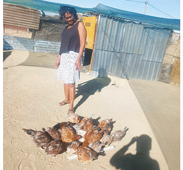 Poultry farmer defies odds in Tses