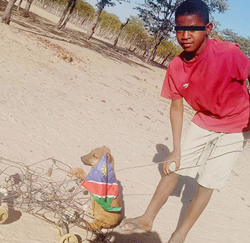 rabies 3 Rabies prevalent in northern Namibia