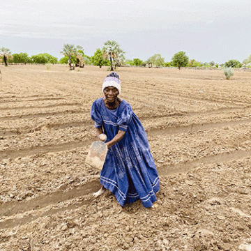 Rain brings hope to northern farmers