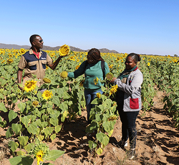 Uphill battle for resettled farmers