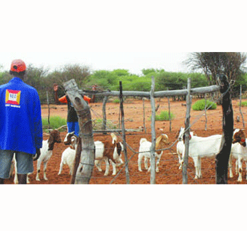 Resettlement benefits small-scale farmers