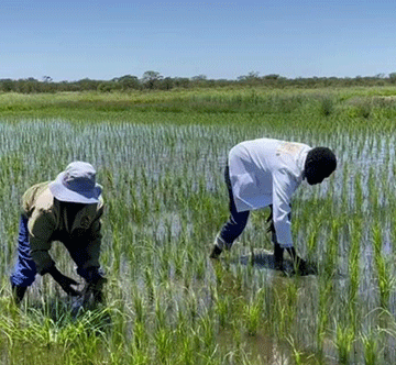 Nandi-Ndaitwah ties food security to respect