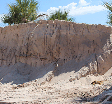 sand Sand mining at ancestral burial site irks residents