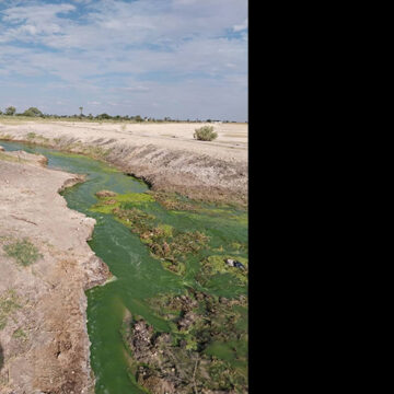 Sewage fish cause vandalism at Ondangwa