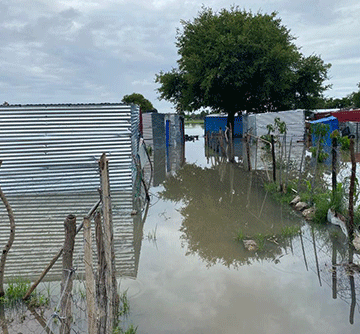 shacks Vamwe mOngwediva otava nangala va londa molwa efundja