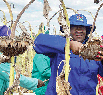 Shadikongoro Green Scheme generates N$7m 