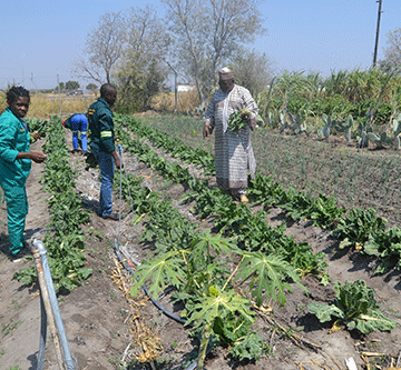 Nigerian couple ploughs ahead with vocational education