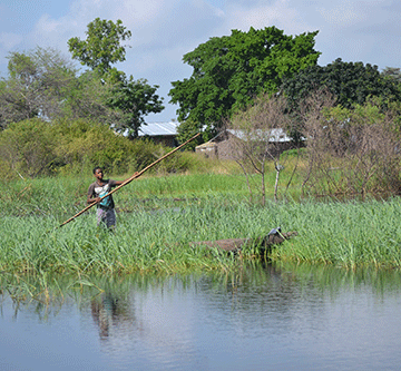 Life in Kabbe’s floodplains