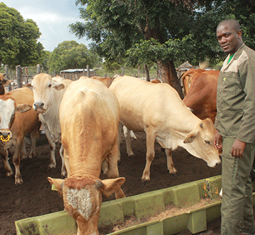 Sports officer balances work and farming