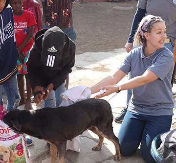 SPCA awaits much-needed land in Keetmanshoop