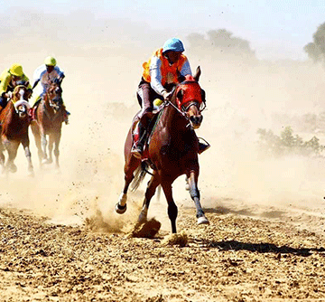 Horse-racing clubs need sponsorship – De Waal