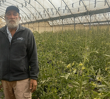 OMDis nursery becoming vegetable basket