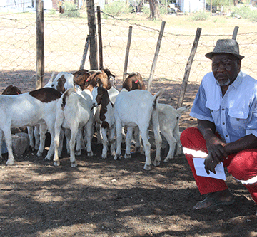 Animal donation leaves Stinkwater farmer bitter