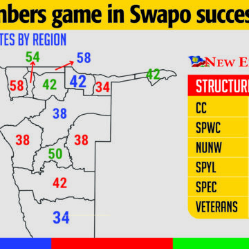 Swapo kings and kingmakers… numbers game in succession race