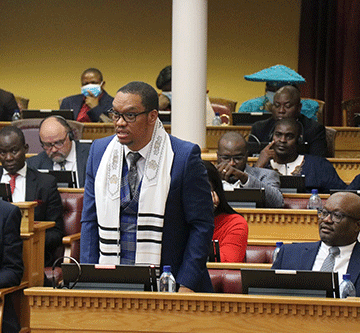 Swartbooi weighs on African parliament