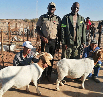 Southern farmers showcase top breeds