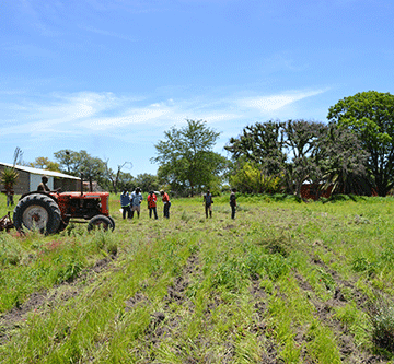 Land reform returns nearly N$100m to Treasury