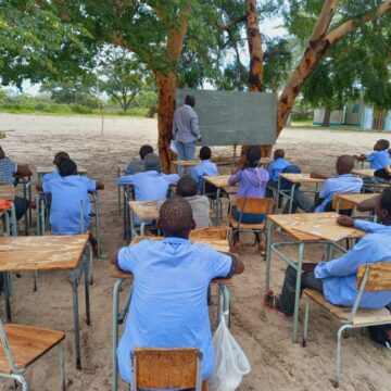 Illegal tree harvesting rocks conservancy